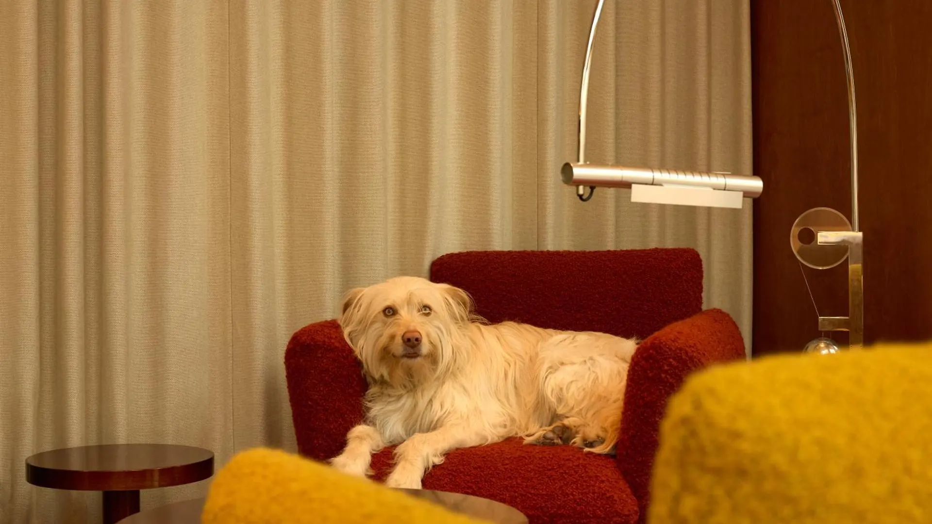 The Standard, Brussels Hotel